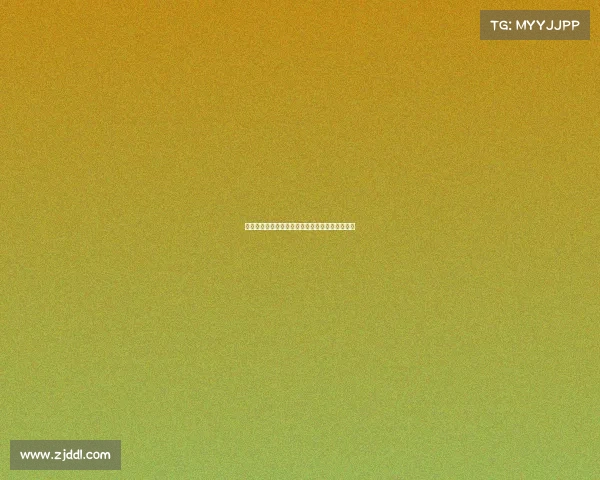 大型综合性赛事申办工作规范指南与全面流程指引